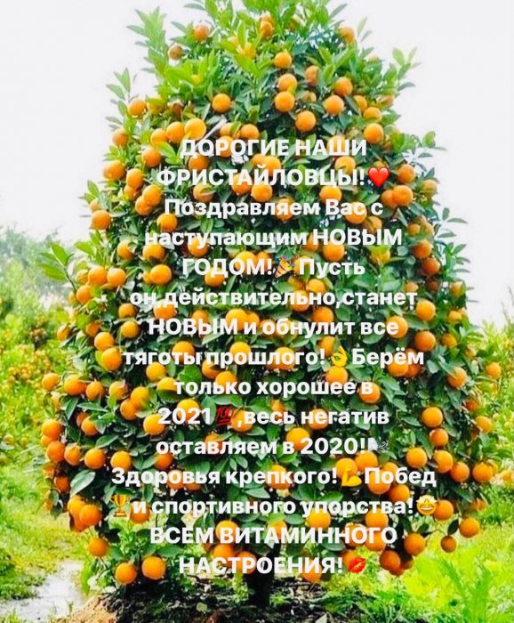 С наступающим новым годом!