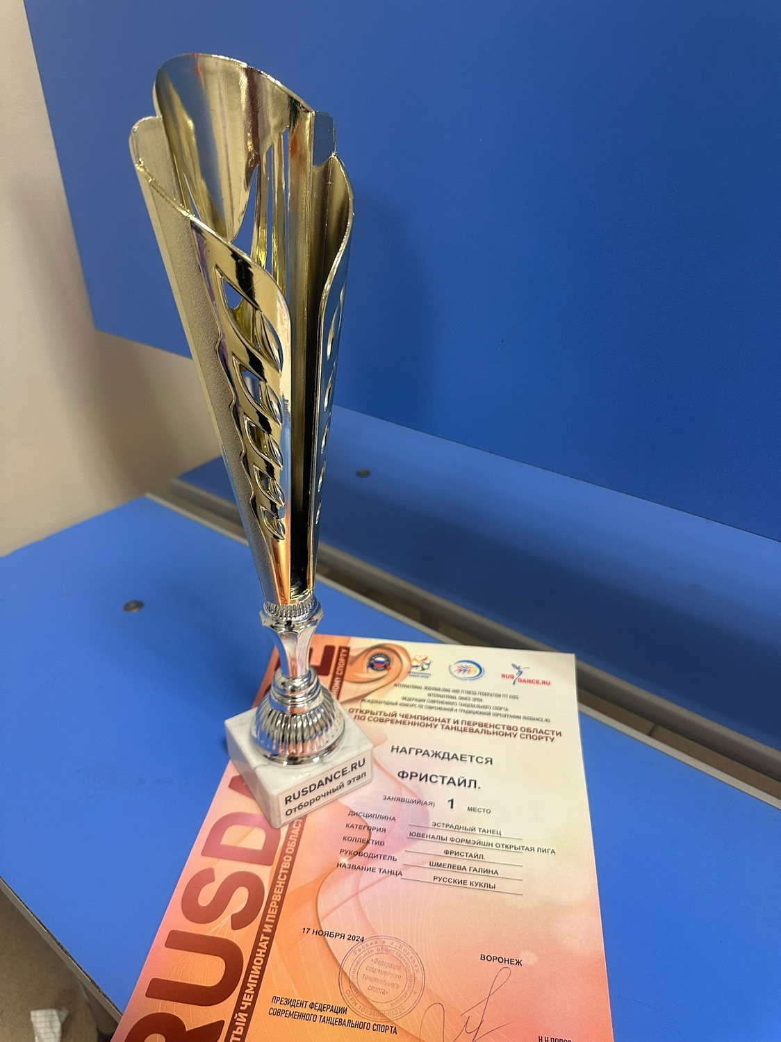Открытый Чемпионат и Первенство Воронежской Области по Современному Танцевальному Спорту 17.11.24